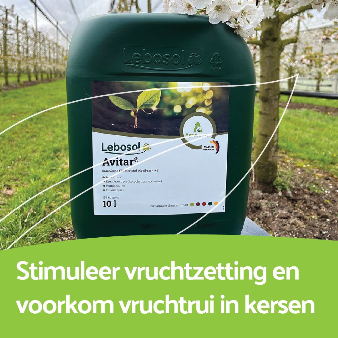 Stimuleer vruchtzetting en voorkom vruchtrui in kersen. Avitar geeft 10% meer opbrengst en bovendien hardere kersen.
lnkd.in/e5szBYm3
Volgende week is hét moment voor een bespuiting met Avitar.
Het bevat Aminosol, zeewier en fulvine- en huminezuren).

#avitar #agrocentrum