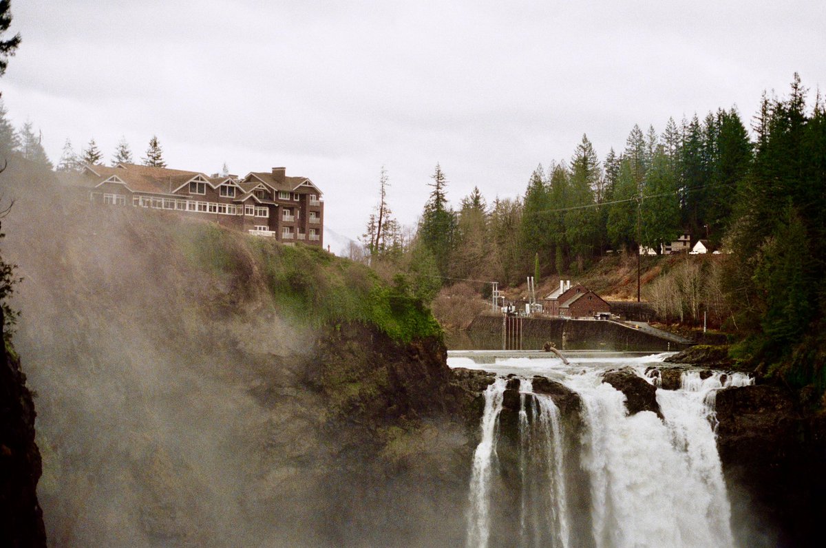 *✧・゚:* a *:・゚✧* tweet media