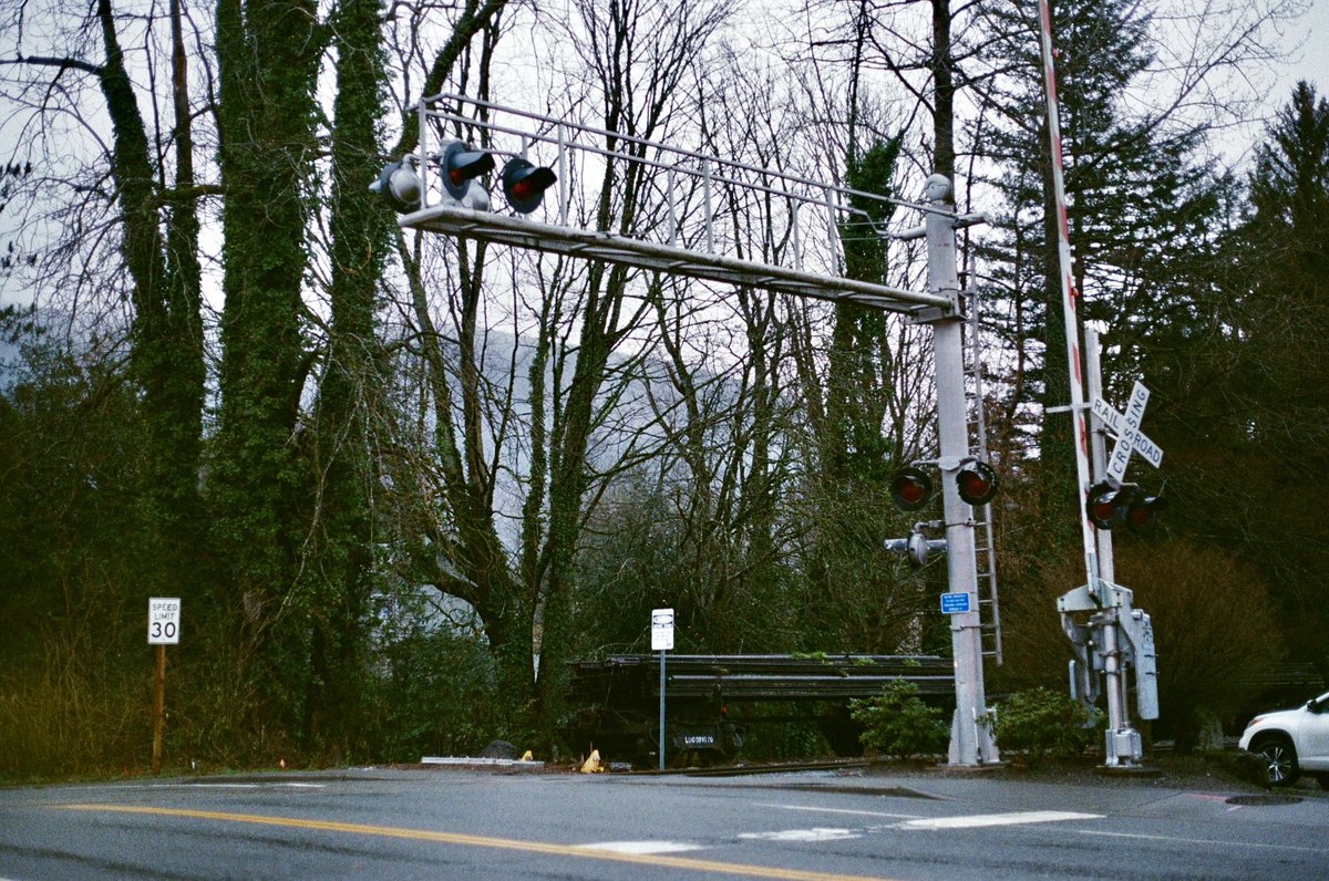 *✧・゚:* a *:・゚✧* tweet media