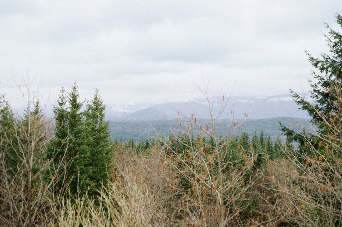 *✧・゚:* a *:・゚✧* tweet media