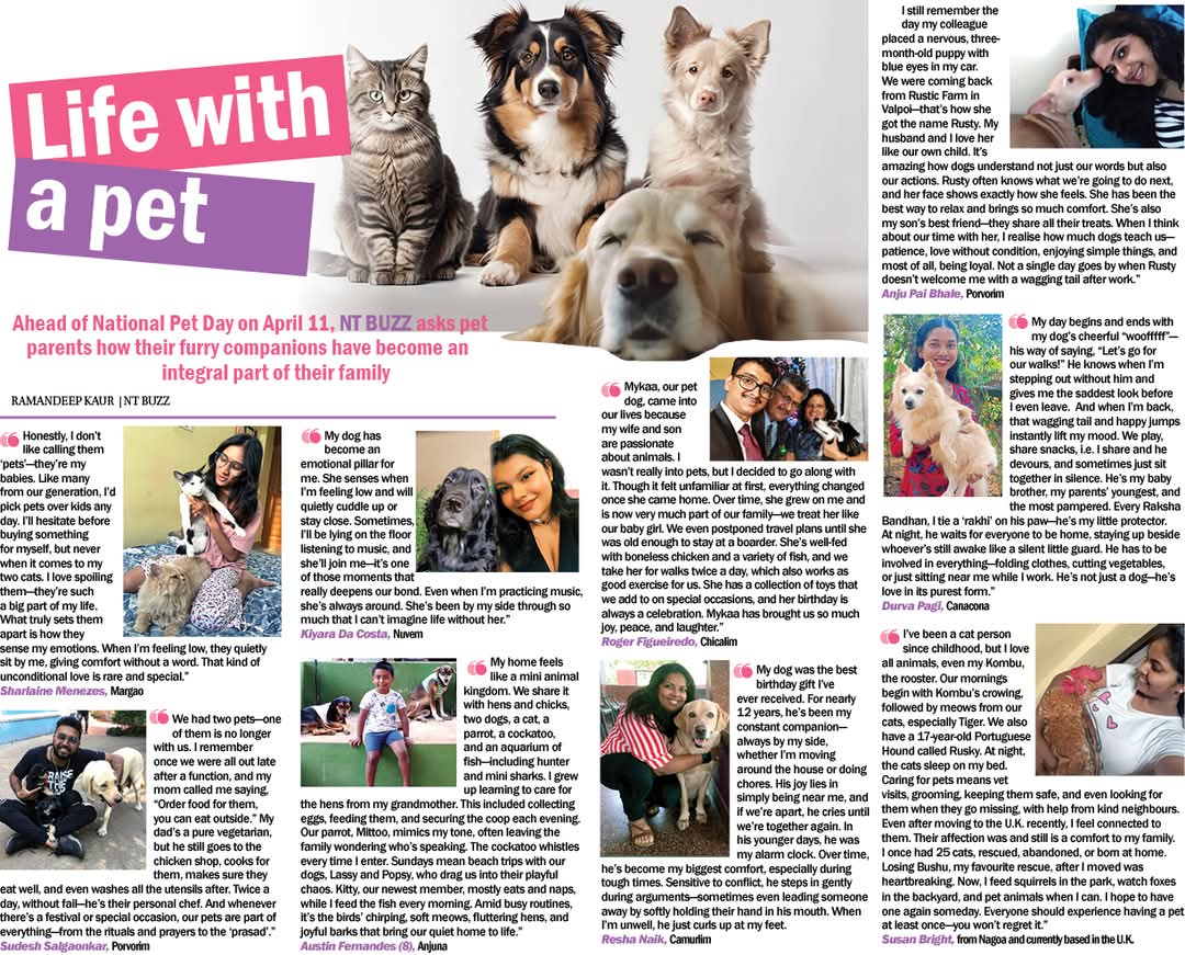 Navhind_Times's tweet image. Ahead of National Pet Day on April 11, NT BUZZ asks pet parents how their furry companions have become an integral part of their family... Read their heartwarming stories and get a dash of cuteness overload in The Navhind Times today!

 #goan #petlovers #PetStories #NavhindTimes