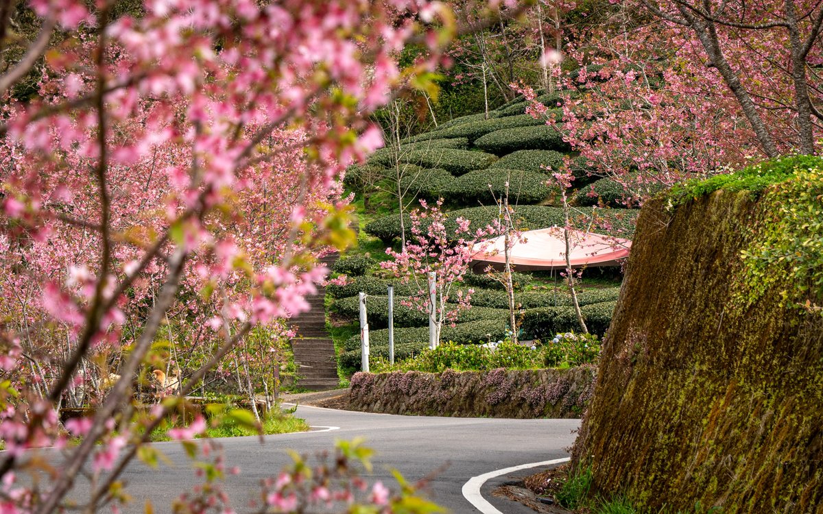 Daniel James Clarke tweet media