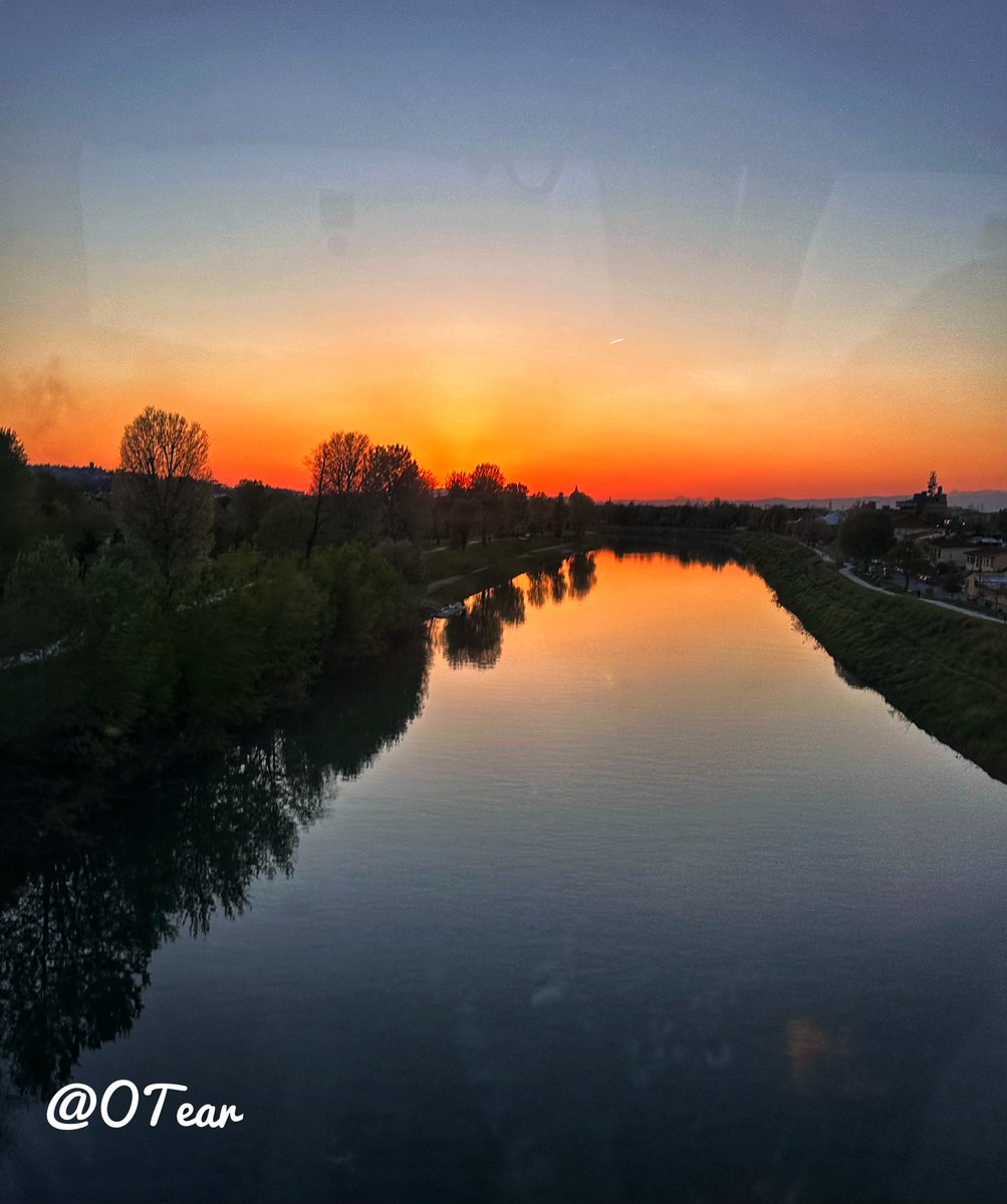 💫🪻𝕆ℝℚ𝕌Í𝔻𝔼𝔸🪻💫 tweet media