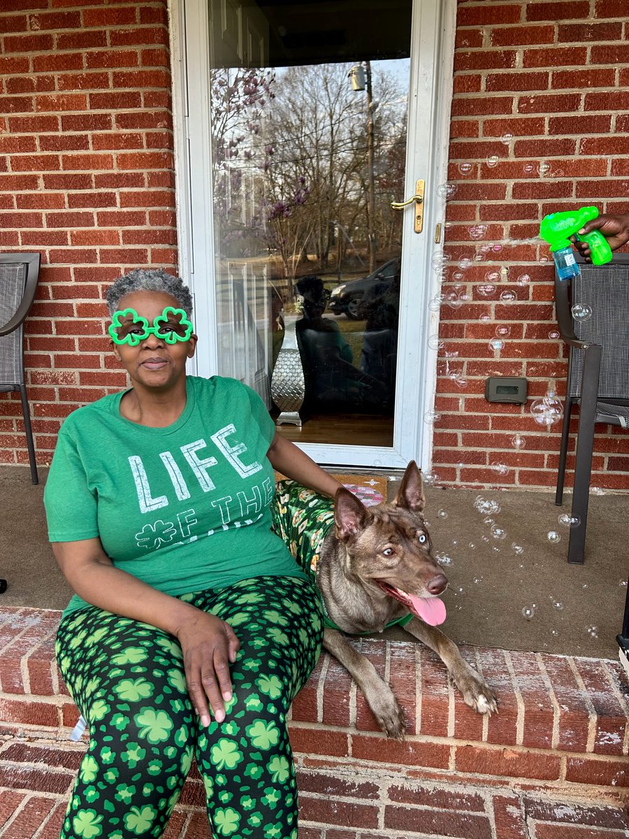 Greenlink Transit tweet media