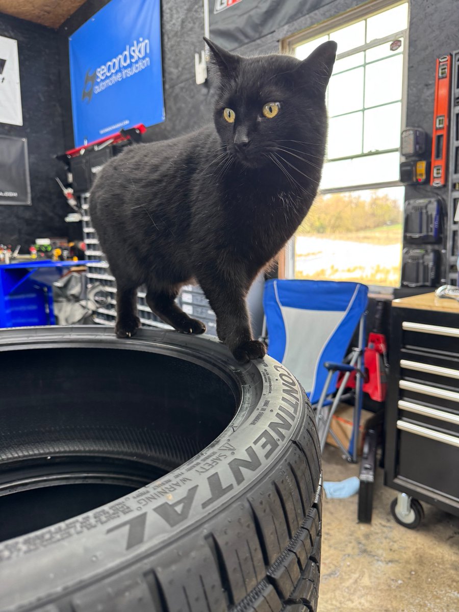 🚨 IMPORTANT 🚨 content from @halftorqued (IG) on the #ExtremeContactDWS06Plus 🐈‍⬛