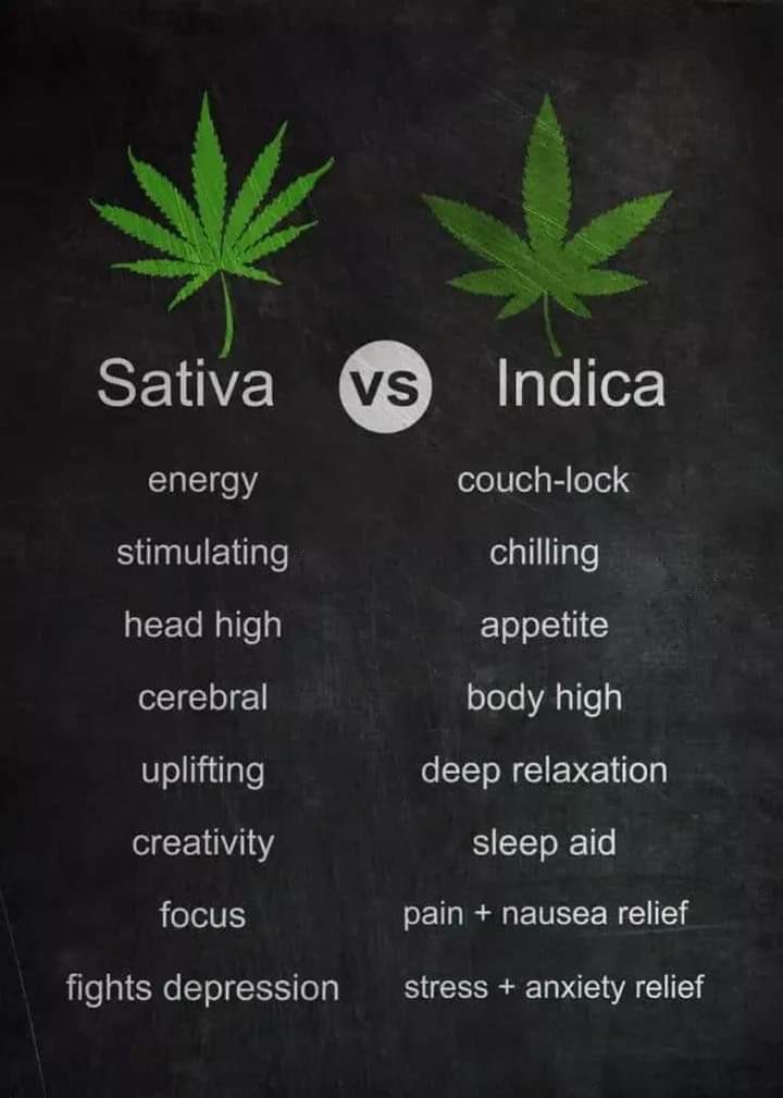 420matt9191's tweet photo. Which do you prefer https://t.co/8aEztzqvRA