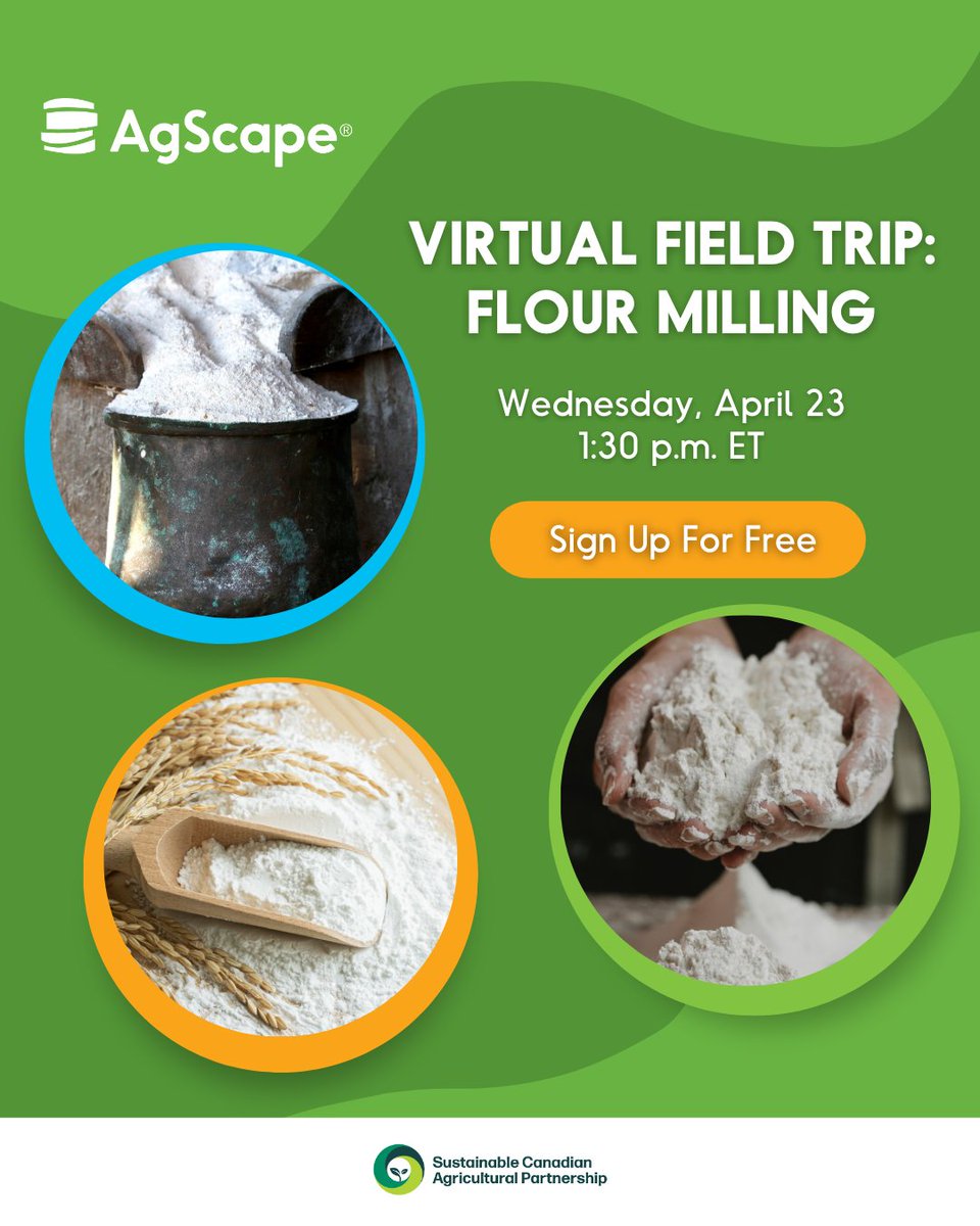 AgScape (@agscapeon) on Twitter photo Calling all grades 1-8 teachers in Ontario! On Wednesday, April 23 at 1:30 p.m. ET, join us for a free Virtual Field Trip where your students will explore the fascinating world of flour milling with Peter Worfolk, Quality Manager at Ardent Mills (<a href="/ArdentMills/">Ardent Mills</a> ) in Mississauga! Calling all grades 1-8 teachers in Ontario! On Wednesday, April 23 at 1:30 p.m. ET, join us for a free Virtual Field Trip where your students will explore the fascinating world of flour milling with Peter Worfolk, Quality Manager at Ardent Mills (<a href="/ArdentMills/">Ardent Mills</a> ) in Mississauga!
