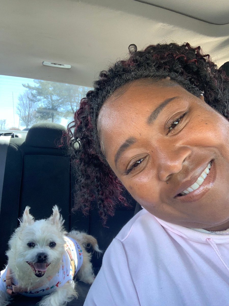 Greenlink Transit tweet media