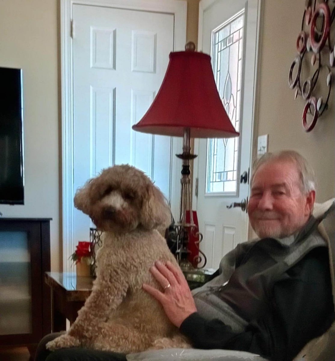 Greenlink Transit tweet media