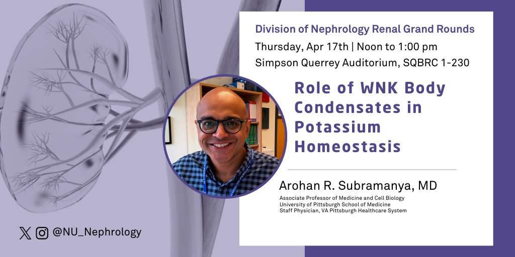 NU_Nephrology's tweet image. Please join us this Thursday as we welcome Arohan Subramanya from the University of Pittsburgh for Renal Grand Rounds! 
📅Date: April 17th 
⏰Time: 12:00-1:00pm 
📍Location: Simpson Querrey Auditorium

Webinar: northwestern.zoom.us/j/91252788890?…