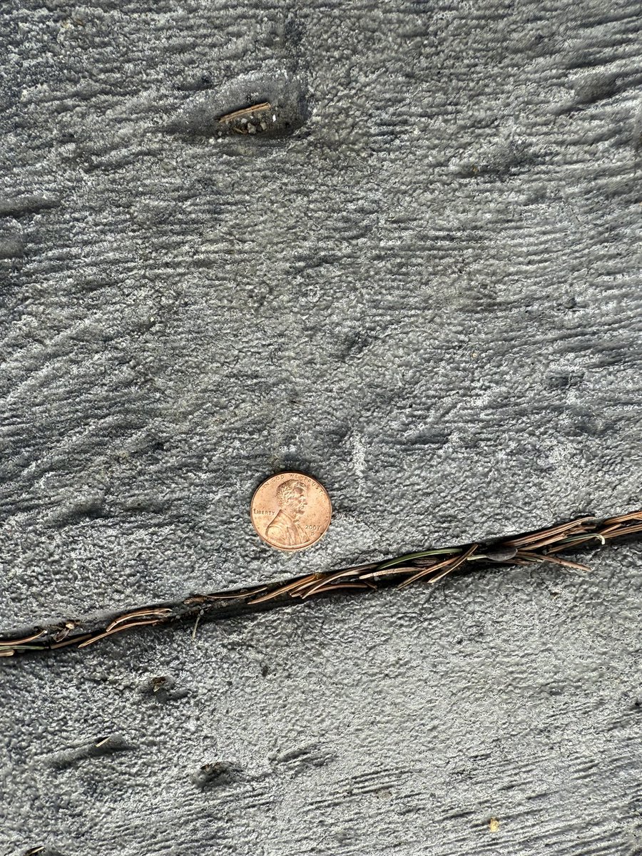 Gina Carano 🕯 tweet media