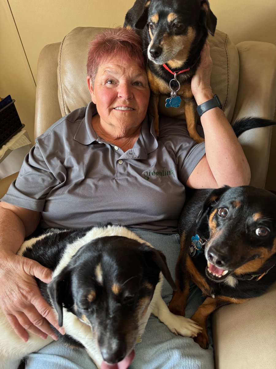 Greenlink Transit tweet media