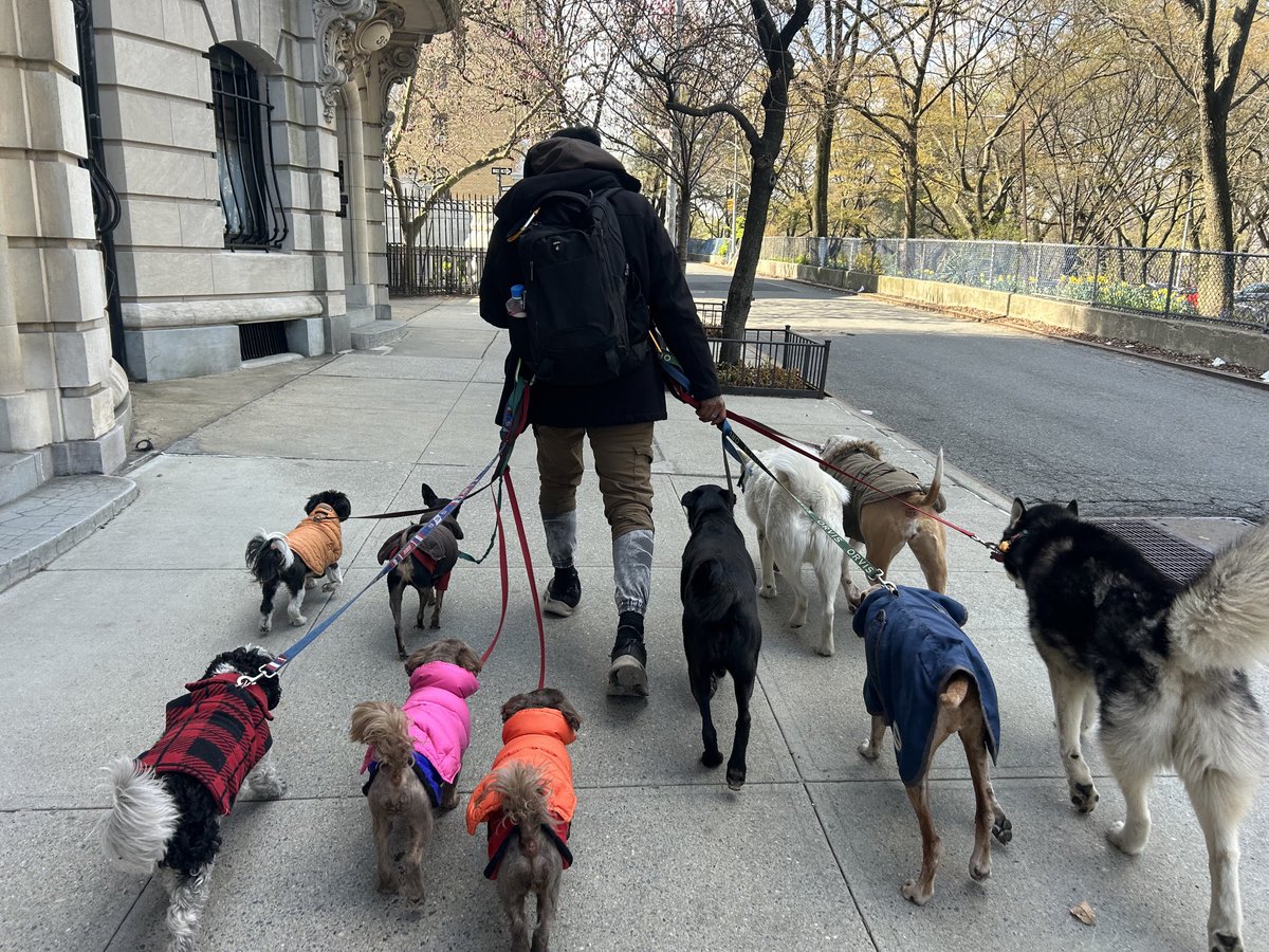 Corey Kilgannon (@coreykilgannon) on Twitter photo 