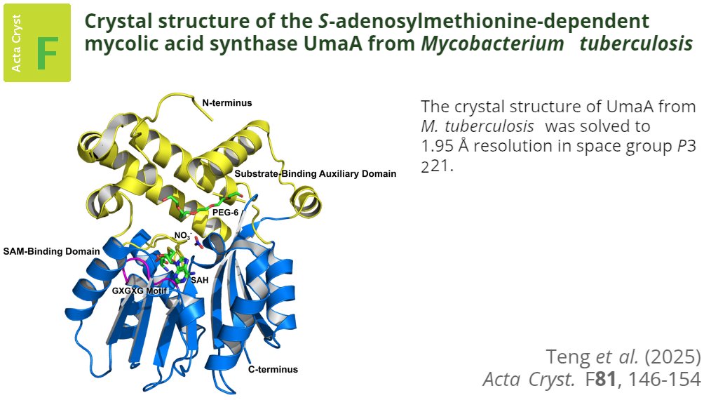 ActaCrystF's tweet photo. S-Adenosyl-N-decyl-aminoethyl is identified as a promising potential inhibitor for the SAM-dependent mycolic acid synthase UmaA from Mycobacterium tuberculosis @ActaCrystF @IUCr #SAMDependentMycolicAcidSynthase #UmaA #MycobacteriumTuberculosis https://t.co/Cq3LQeOXC8 https://t.co/ksdjWdCPME