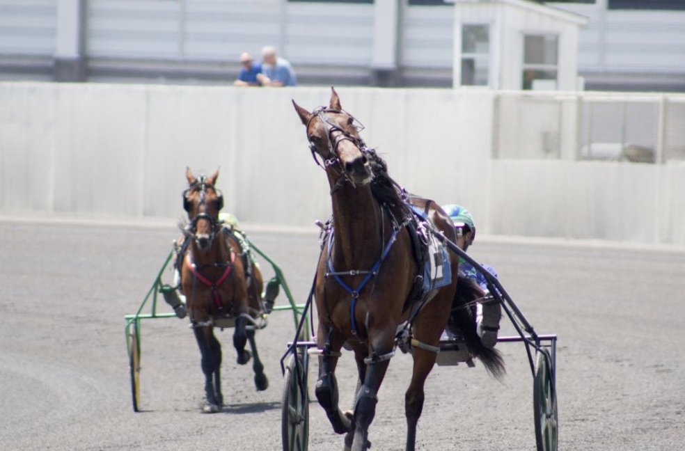 PHHA (@thephha) on Twitter photo After a long winter, we are back at <a href="/HarrahsPHL/">Harrah's Philadelphia</a>! And we have a special post time of 6:30pm! Be sure to check out today's PPs for download!
๐ด: phha.org/harrahspps.html
๐ธ: Kortney Cook After a long winter, we are back at <a href="/HarrahsPHL/">Harrah's Philadelphia</a>! And we have a special post time of 6:30pm! Be sure to check out today's PPs for download!
๐ด: phha.org/harrahspps.html
๐ธ: Kortney Cook
