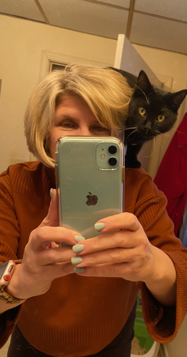 Greenlink Transit tweet media