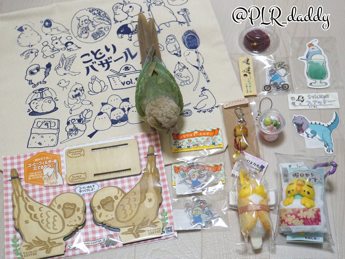 PLR_daddy's tweet photo. ことりバザールの初日に参戦！
今回も可愛い作品だらけで厳選しましたが、欲しかった作品お迎えできました✨
りんチェックお願いします😊
#ことりバザール #サイボク 
#TSUKIMI_COFFEE 
#ハクサイーヌ 
#オグチヨーコ 
#のゐち 
#まがり屋 
#久保田キコ�� 
#ぴよぴよガオー 
#ウロコインコ #りん https://t.co/QzypJWTWjH