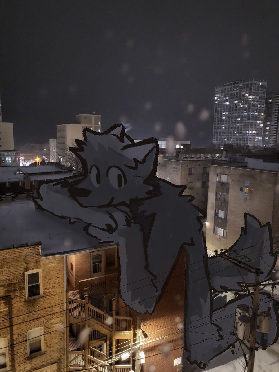 riffygriff's tweet photo. don't worry dude, my fur keeps me warm https://t.co/AQrL5UEOBA