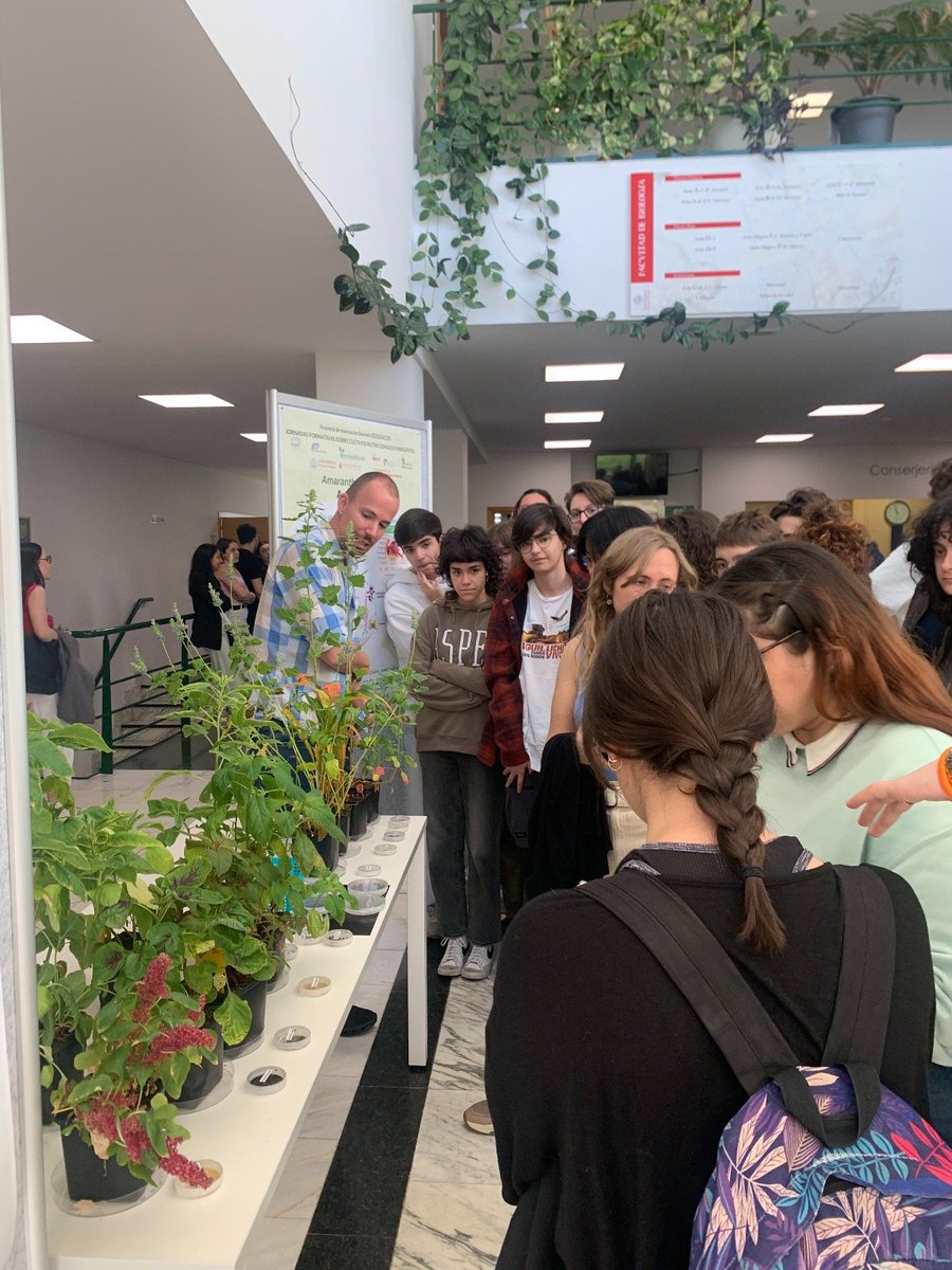 Acercando el cultivo de #amaranto a los estudiantes de la <a href="/fcienciasusal/">Facultad de Ciencias USAL</a>, a través del proyecto #AMARCYL  🌱🌱 #cultivosnutricionalesemergentes #Proyectodocente ID2024/220. 
<a href="/AgriEnvironCyL/">AgriEnvironment</a> <a href="/ITACYL/">Innovación agroalimentaria - JCyL</a> <a href="/foodinnovatione/">Innovatione</a> <a href="/CIALE_USAL/">CIALE</a>