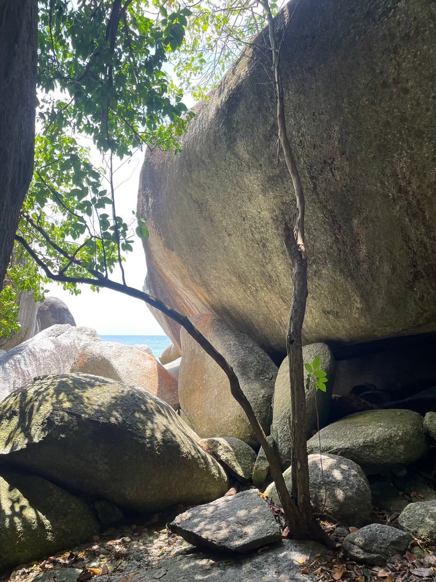 kooooichii's tweet photo. 振り返り、Belitung Island.
個人的にかなりおすすめ。 https://t.co/2ePhb9DhOy
