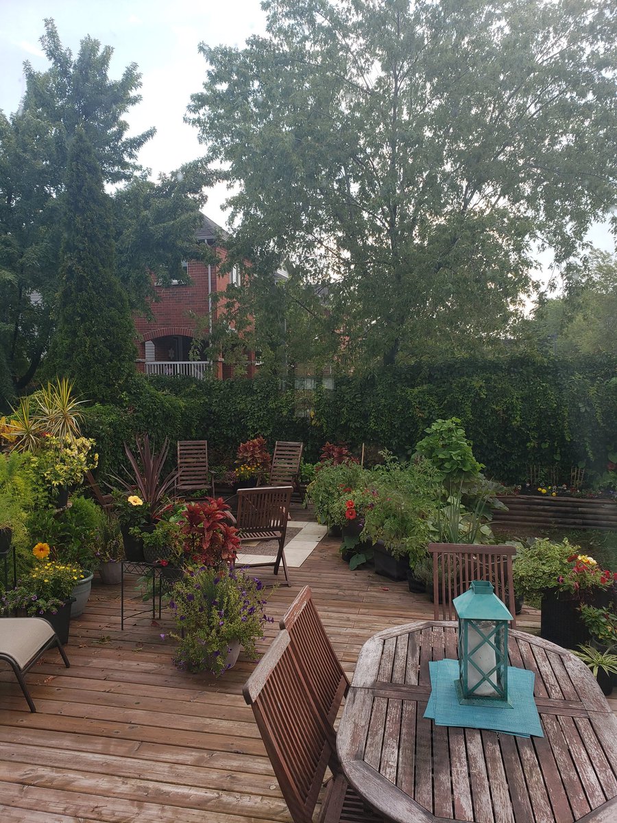 anonymouscaper's tweet photo. Remembering my patio garden. Miss that place. #ThrowbackThursday #gardenersworld #patio #whereisspring
Have an amazing day friends 🌿🌸💛🌿🌸💛🌿🌸💛🌿🌸💛🌿🌸💛 https://t.co/dtWMm3d7A8