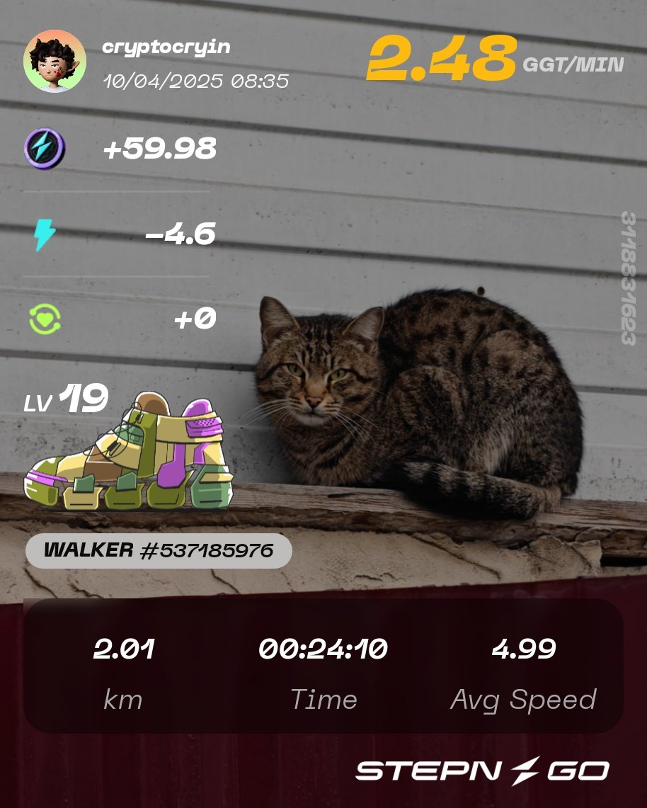 Hope you have a good life and never feel low.
#STEPN #STEPNGO $GGT $GMT