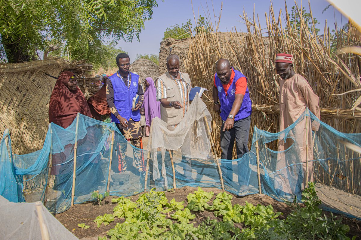 CareBestInit's tweet photo. It was a delight to receive the @unicef_nigeria Project Supervisor at our FSL project site in Nguru Local Government area of Yobe State.
#Carebestinitiative #Wecarebest #Northeastnigeria #Northwestnigeria #FoodSecurity #LivelihoodSupport #Nguru #YobeState #WomenEmpowerment https://t.co/XD43zQ7WzY
