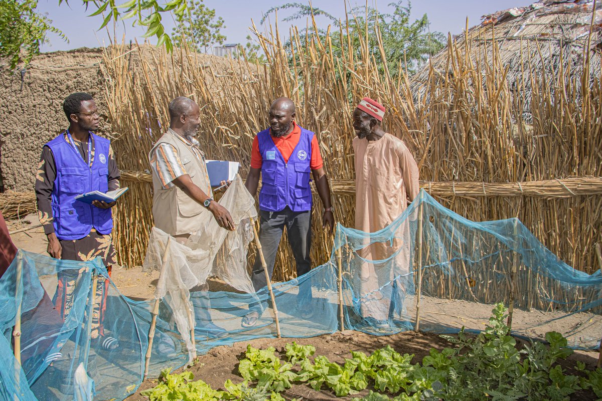 CareBestInit's tweet photo. It was a delight to receive the @unicef_nigeria Project Supervisor at our FSL project site in Nguru Local Government area of Yobe State.
#Carebestinitiative #Wecarebest #Northeastnigeria #Northwestnigeria #FoodSecurity #LivelihoodSupport #Nguru #YobeState #WomenEmpowerment https://t.co/XD43zQ7WzY