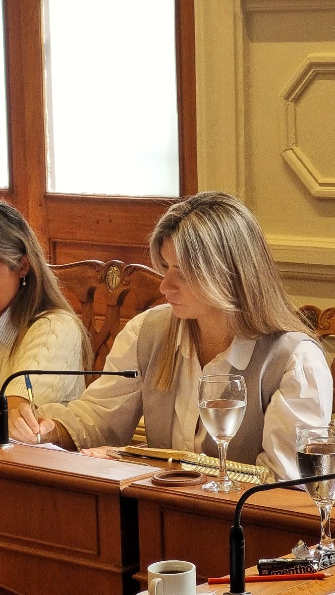 OliveraSandraOk's tweet photo. Concluimos el día de hoy una nueva Sesión Ordinaria, la 4ta de este año legislativo. 🙌🏻
¡Continuamos elaborando proyectos y ordenanzas para llegar a cada rincón de Corrientes abordando las problemáticas de los vecinos! 🙋🏼‍♀️
#SandraConcejal https://t.co/kfTha3IoK5
