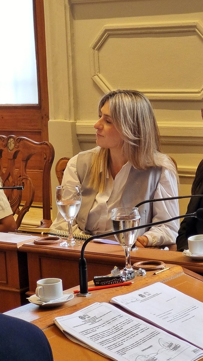 OliveraSandraOk's tweet photo. Concluimos el día de hoy una nueva Sesión Ordinaria, la 4ta de este año legislativo. 🙌🏻
¡Continuamos elaborando proyectos y ordenanzas para llegar a cada rincón de Corrientes abordando las problemáticas de los vecinos! 🙋🏼‍♀️
#SandraConcejal https://t.co/kfTha3IoK5
