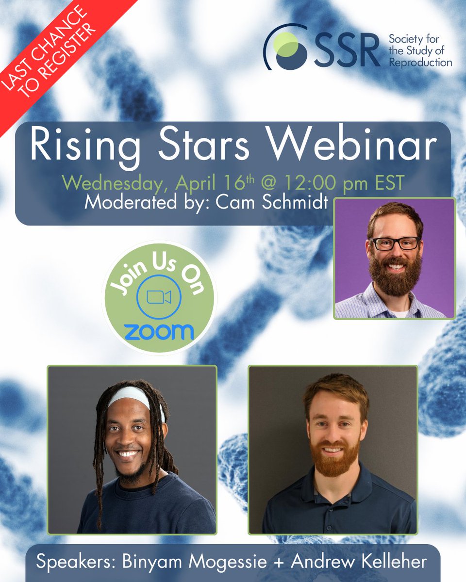 SSRepro's tweet photo. Last Chance to Register for this exciting webinar the reproductive biology community! Join the SSR on Wednesday, April 16th at 12 PM ET for our Rising Stars Webinar featuring Dr. Binyam Mogessie (Yale) and Dr. Andrew Kelleher (University of Missouri). https://t.co/CkA6sBMTth https://t.co/yUCJg1UJxW