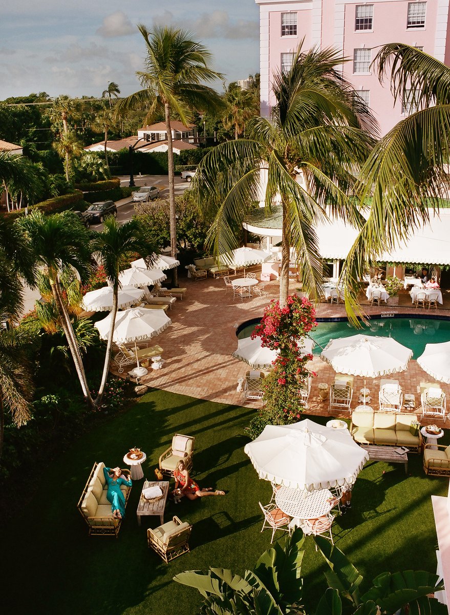 The Palm Beaches tweet media