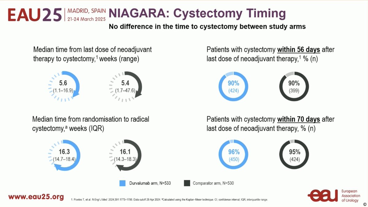 NIAGARA: Agregar durvalumab no impactó negativamente en los desenlaces quirúrgicos al comparar con quimioterapia 
🔵Cistectomía: durva/qt 88% vs qt 83% 👍
🟣Cistectomía en los primeros 56 días post-tx : durva/qt 90% vs qt 90%☝️