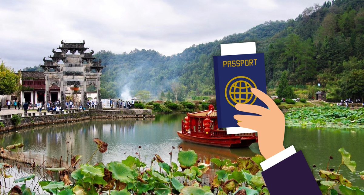 Li Jingjing 李菁菁 tweet media