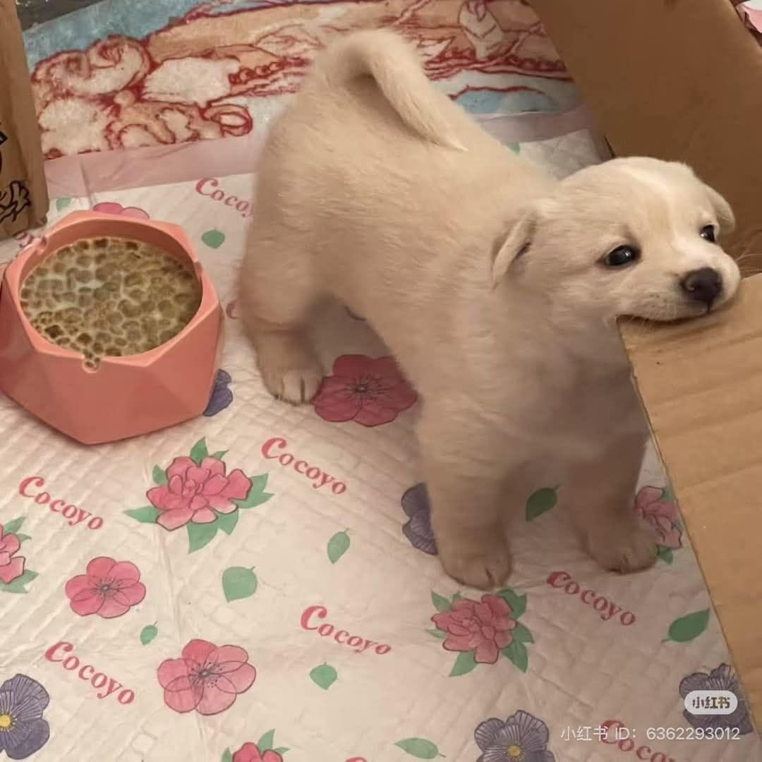 twaniimals's tweet photo. https://t.co/7NgYhpIiu6