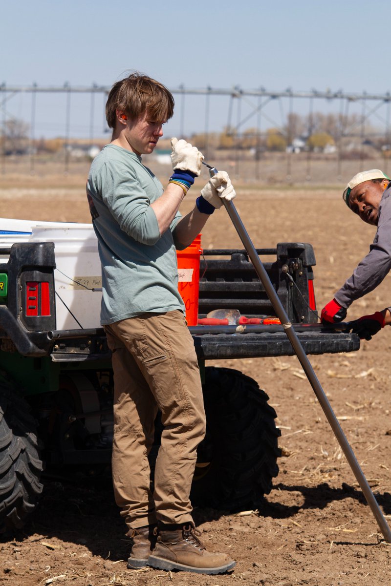 Irrigation Innovation Consortium (@irrigationic) on Twitter photo It was a great week to be soil sampling the #CSUTAPS field & with help from great student interns. As we manage farming operations & technologies thru the season, #TAPS offers <a href="/CSUAgSci/">CSU College of Agricultural Sciences</a> students tremendous learning opportunities, from field work to data collection and analysis. It was a great week to be soil sampling the #CSUTAPS field & with help from great student interns. As we manage farming operations & technologies thru the season, #TAPS offers <a href="/CSUAgSci/">CSU College of Agricultural Sciences</a> students tremendous learning opportunities, from field work to data collection and analysis.