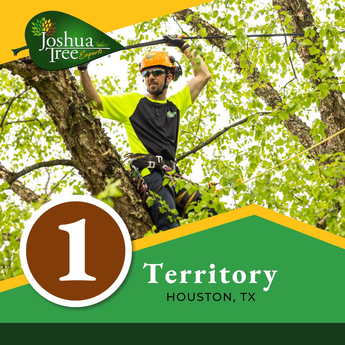 JoshuaTreeUSA's tweet image. Texas Takeover Continues! We’re thrilled to announce our new location in Houston, Texas! With Dallas, Austin, &amp;amp; Houston in our network, we’re making a major impact in Texas' key markets! Join us in celebrating this exciting growth. 💚
#TexasTakeover #JoshuaTreeExperts #HoustonTX