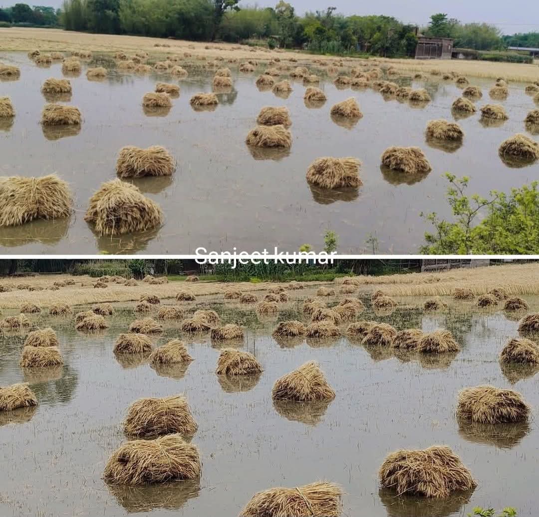 किस सुनाओ अपने दिल का दर्द जो था वह छूट गया जिसको हमें जान से ज्यादा भरोसा था आज उसी ने हमको लूट लिया😭😭😭