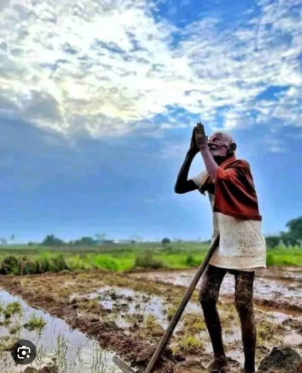 Dr.Sanjeev Kumar MLA Parbatta,Bihar (@drsanjeev0121) on Twitter photo рдХрд┐рд╕рд╛рдиреЛрдВ рдкрд░ рдкреНрд░рдХреГрддрд┐ рдХреА рдорд╛рд░
рдЕрд╕рдордп рд╣реБрдИ рднрд╛рд░реА рдмрд╛рд░рд┐рд╢ рдиреЗ рдзрд░рддреА рдкреБрддреНрд░ рдХрд┐рд╕рд╛рдиреЛрдВ рдХреА рдорд╣реАрдиреЛрдВ рдХреА рдореЗрд╣рдирдд рдкрд░ рдкрд╛рдиреА рдлреЗрд░ рджрд┐рдпрд╛ред рдЙрдирдХреА рдкреВрд░реА рдлрд╕рд▓ рдмрд░реНрдмрд╛рдж рд╣реЛ рдЧрдИред рдЦреЗрддреЛрдВ рдореЗрдВ рдЦрдбрд╝реА рдЧреЗрд╣реВрдВ рдХреА рдлрд╕рд▓ рддреАрд╡реНрд░ рд╡реГрд╖реНрдЯрд┐ рд╕реЗ рддрдмрд╛рд╣ рд╣реЛ рдЧрдИ рдФрд░ рдлрд╕рд▓ рдХрд┐рд╕реА рдХрд╛рдо рдХреА рдирд╣реАрдВ рд░рд╣реАред
#рдмрд┐рд╣рд╛рд░_рд╕рд░рдХрд╛рд░ рд╕реЗ рдорд╛рдБрдЧ рд╣реИ рдХреА рдЗрд╕ рдЕрд╕рд╛рдордпрд┐рдХ рдмрд╛рд░рд┐рд╢ рд╕реЗ рдкреНрд░рднрд╛рд╡рд┐рдд рдХрд┐рд╕рд╛рдиреЛрдВ рдкрд░ рдкреНрд░рдХреГрддрд┐ рдХреА рдорд╛рд░
рдЕрд╕рдордп рд╣реБрдИ рднрд╛рд░реА рдмрд╛рд░рд┐рд╢ рдиреЗ рдзрд░рддреА рдкреБрддреНрд░ рдХрд┐рд╕рд╛рдиреЛрдВ рдХреА рдорд╣реАрдиреЛрдВ рдХреА рдореЗрд╣рдирдд рдкрд░ рдкрд╛рдиреА рдлреЗрд░ рджрд┐рдпрд╛ред рдЙрдирдХреА рдкреВрд░реА рдлрд╕рд▓ рдмрд░реНрдмрд╛рдж рд╣реЛ рдЧрдИред рдЦреЗрддреЛрдВ рдореЗрдВ рдЦрдбрд╝реА рдЧреЗрд╣реВрдВ рдХреА рдлрд╕рд▓ рддреАрд╡реНрд░ рд╡реГрд╖реНрдЯрд┐ рд╕реЗ рддрдмрд╛рд╣ рд╣реЛ рдЧрдИ рдФрд░ рдлрд╕рд▓ рдХрд┐рд╕реА рдХрд╛рдо рдХреА рдирд╣реАрдВ рд░рд╣реАред
#рдмрд┐рд╣рд╛рд░_рд╕рд░рдХрд╛рд░ рд╕реЗ рдорд╛рдБрдЧ рд╣реИ рдХреА рдЗрд╕ рдЕрд╕рд╛рдордпрд┐рдХ рдмрд╛рд░рд┐рд╢ рд╕реЗ рдкреНрд░рднрд╛рд╡рд┐рдд