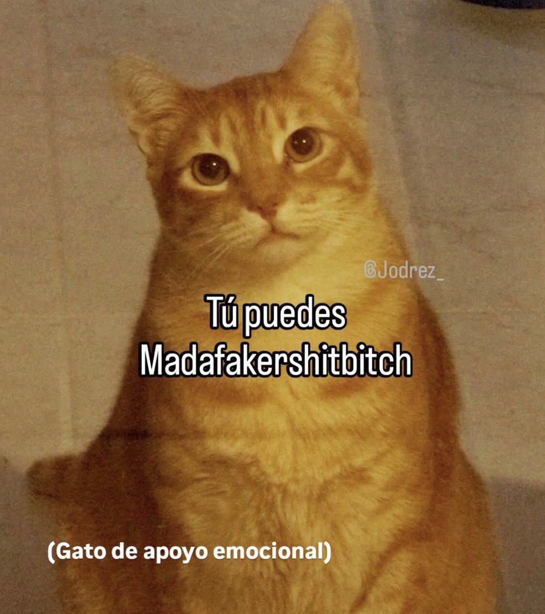 norelenita's tweet photo. Días! https://t.co/5P2CwvTd5p