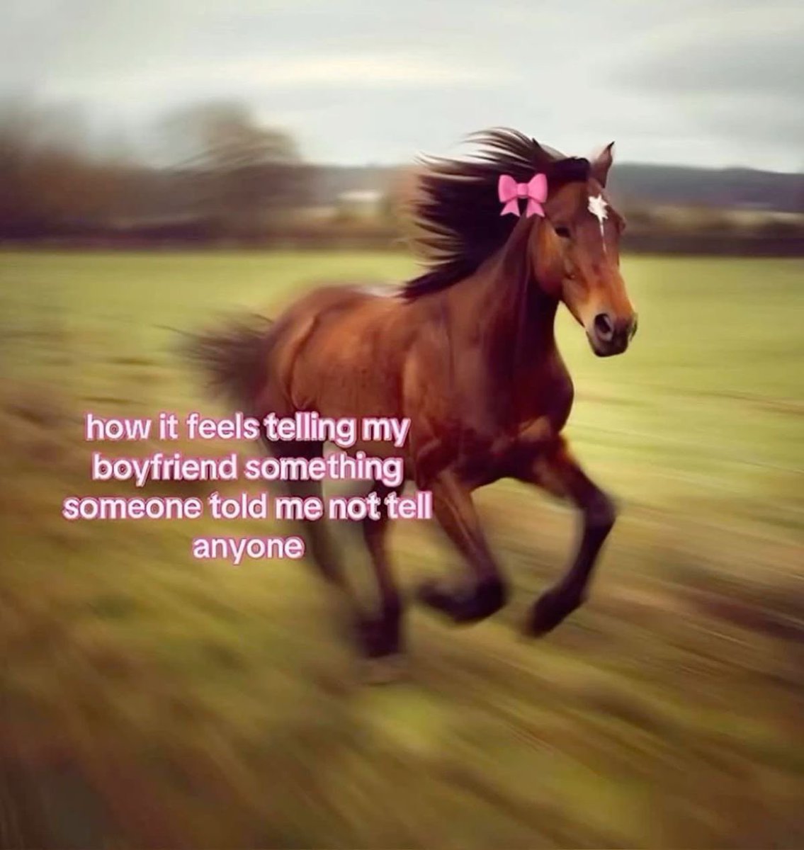 The Notorious J.O.V. tweet media