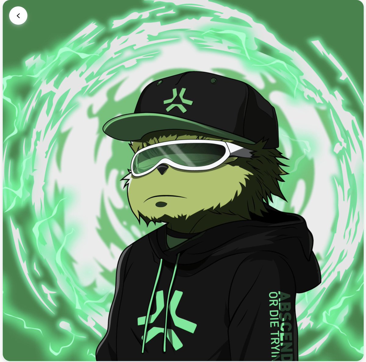 Parzival.Pengu 🐧✳️ tweet media