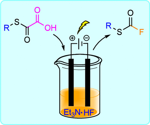 Kevin Lam tweet media