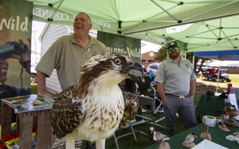🦅 The ospreys are back—and so are we!

 Join us this Saturday, April 12, at the Virginia Osprey Festival in Colonial Beach. We’ll have a booth set up—come chat with our team and talk everything osprey!

Full details 👉 virginiaospreyfoundation.org.

 📷: DWR Staff