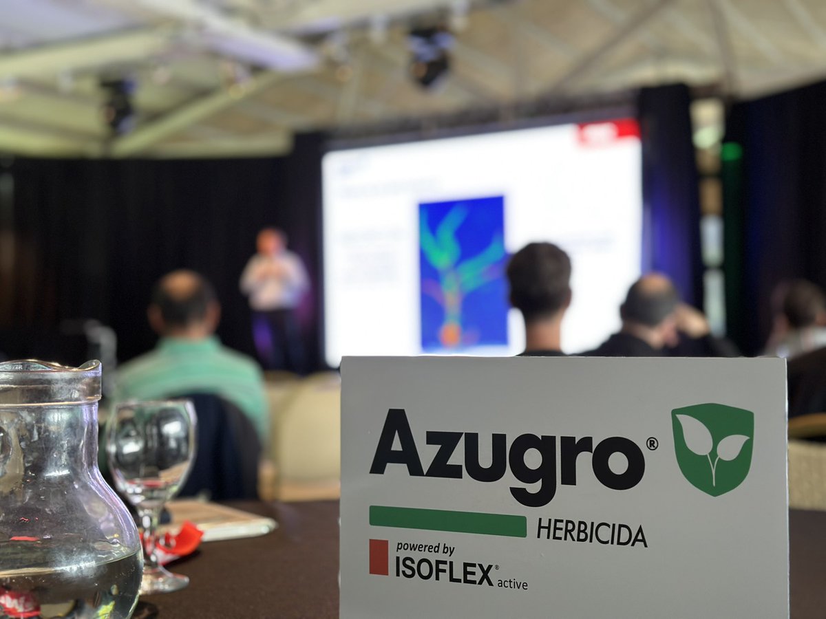 Damian Gopar tweet media