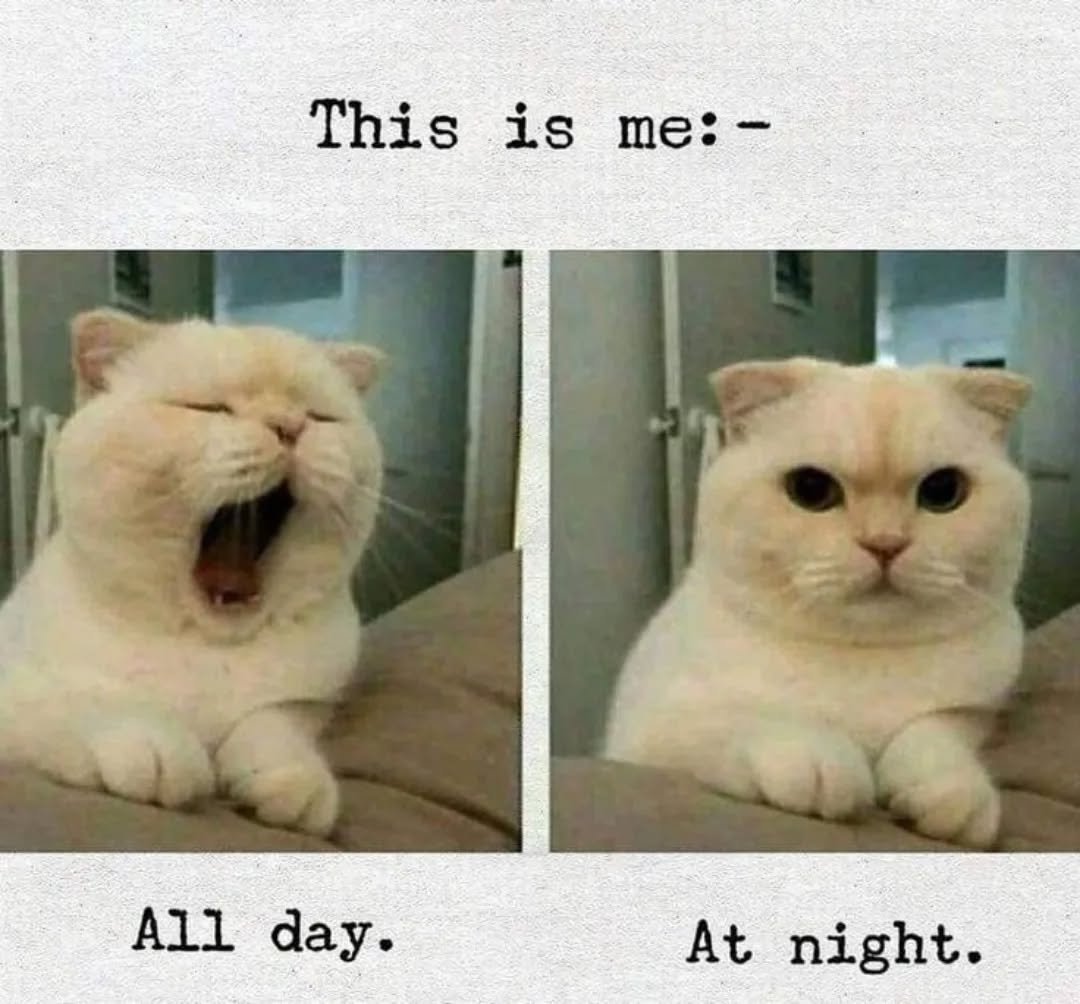 This is actually me 😂 . . . .