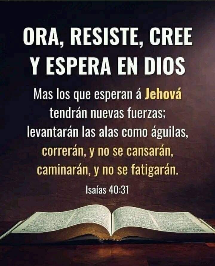 HaydeeGruber's tweet photo. Amén y Amén🙏🏼 https://t.co/8X9mzyKbOf
