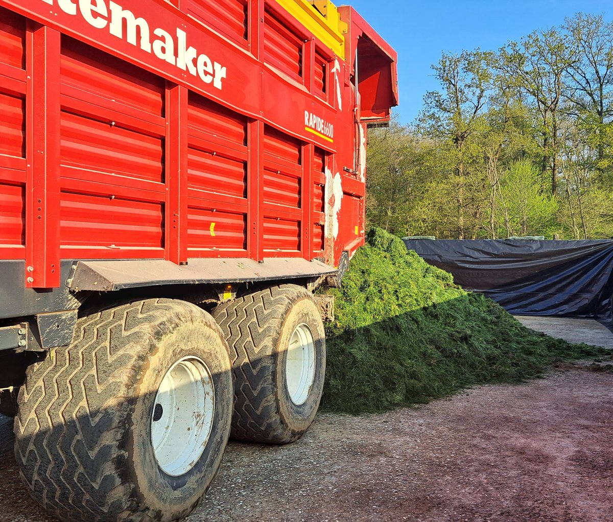 Antoine Thibault tweet media