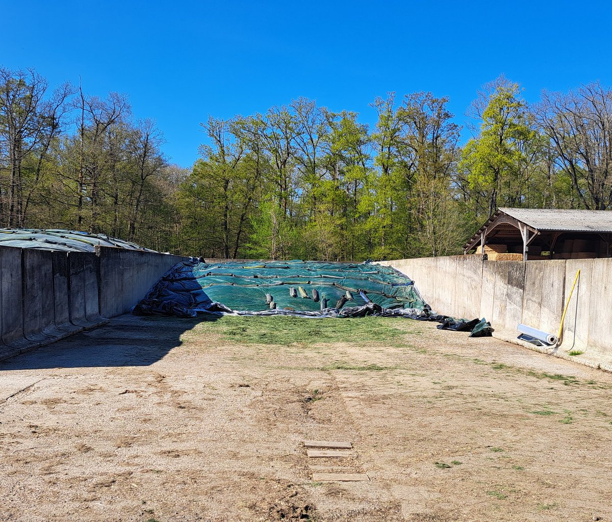 Antoine Thibault tweet media