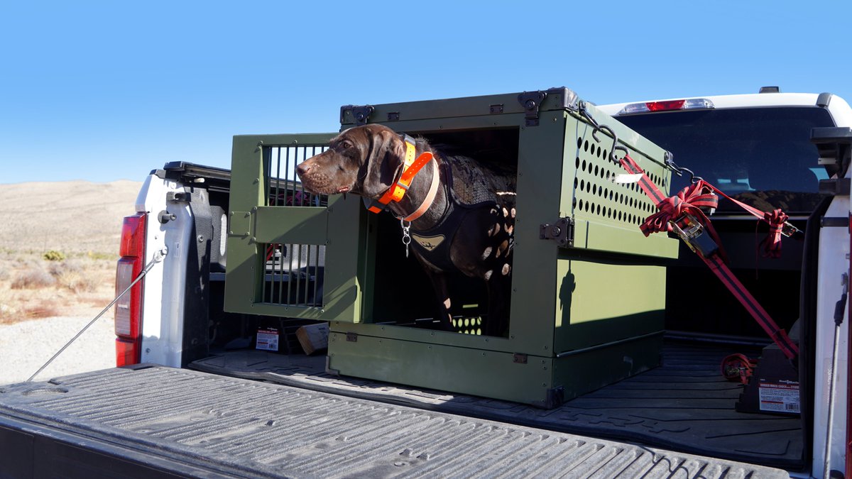 pethercules's tweet photo. When your crate's more durable than your buddy’s toolbox 😎🔧#ServiceDogs #DogCrates #CollapsibleDogCrate #Adventure #Dogs #DogAdventures #HuntingDogs https://t.co/zS4el4E4Gn